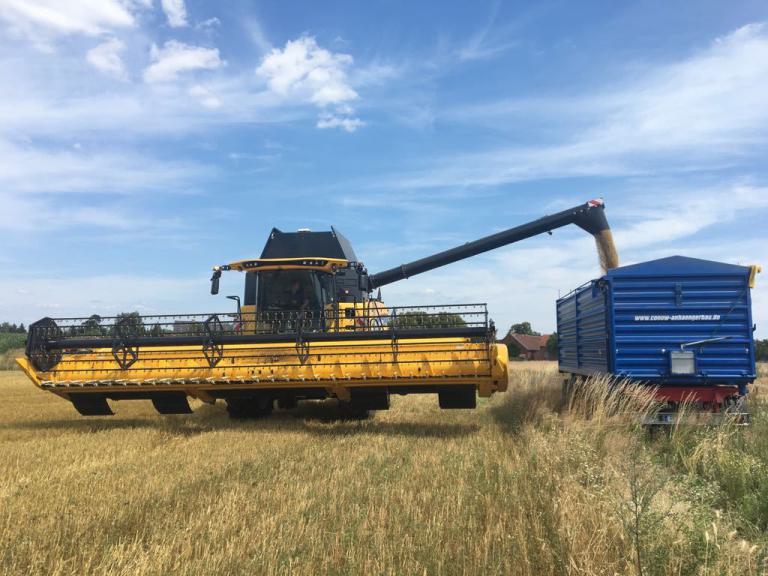 Mähdrescher NH CX 8.85