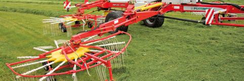 Nahaufnahme Großflächenschwader