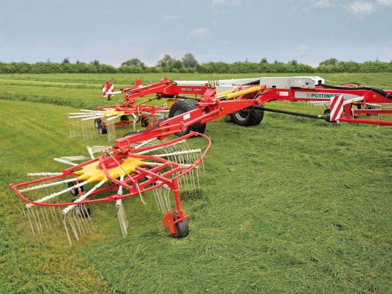 Nahaufnahme Großflächenschwader